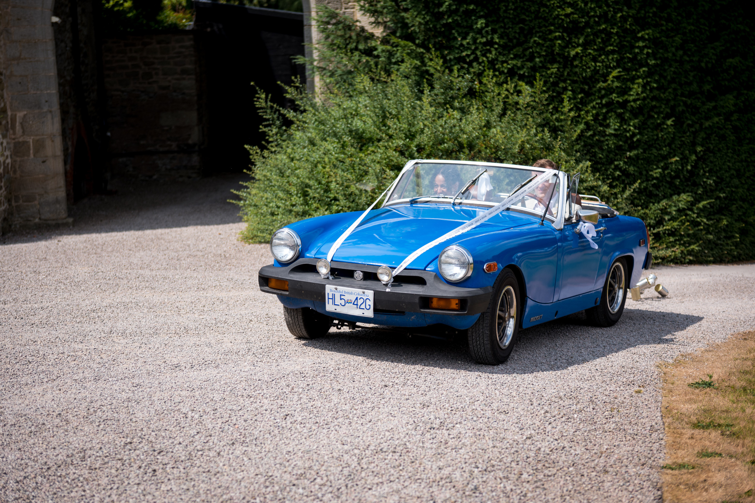 A blue vintage MG Midget convertible decorated with white ribbons drives down a gravel driveway during a wedding.