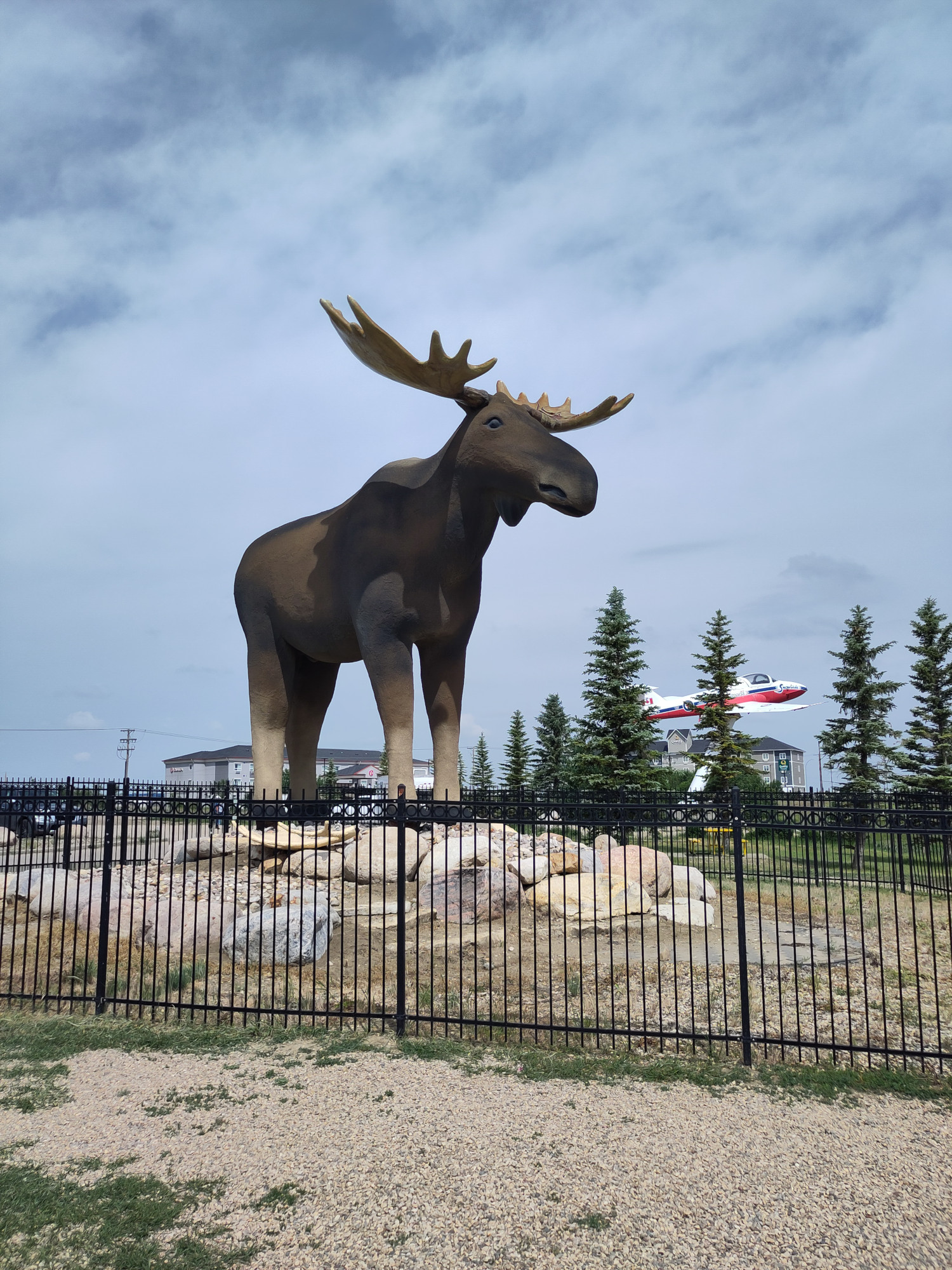 A giant statue of a moose.