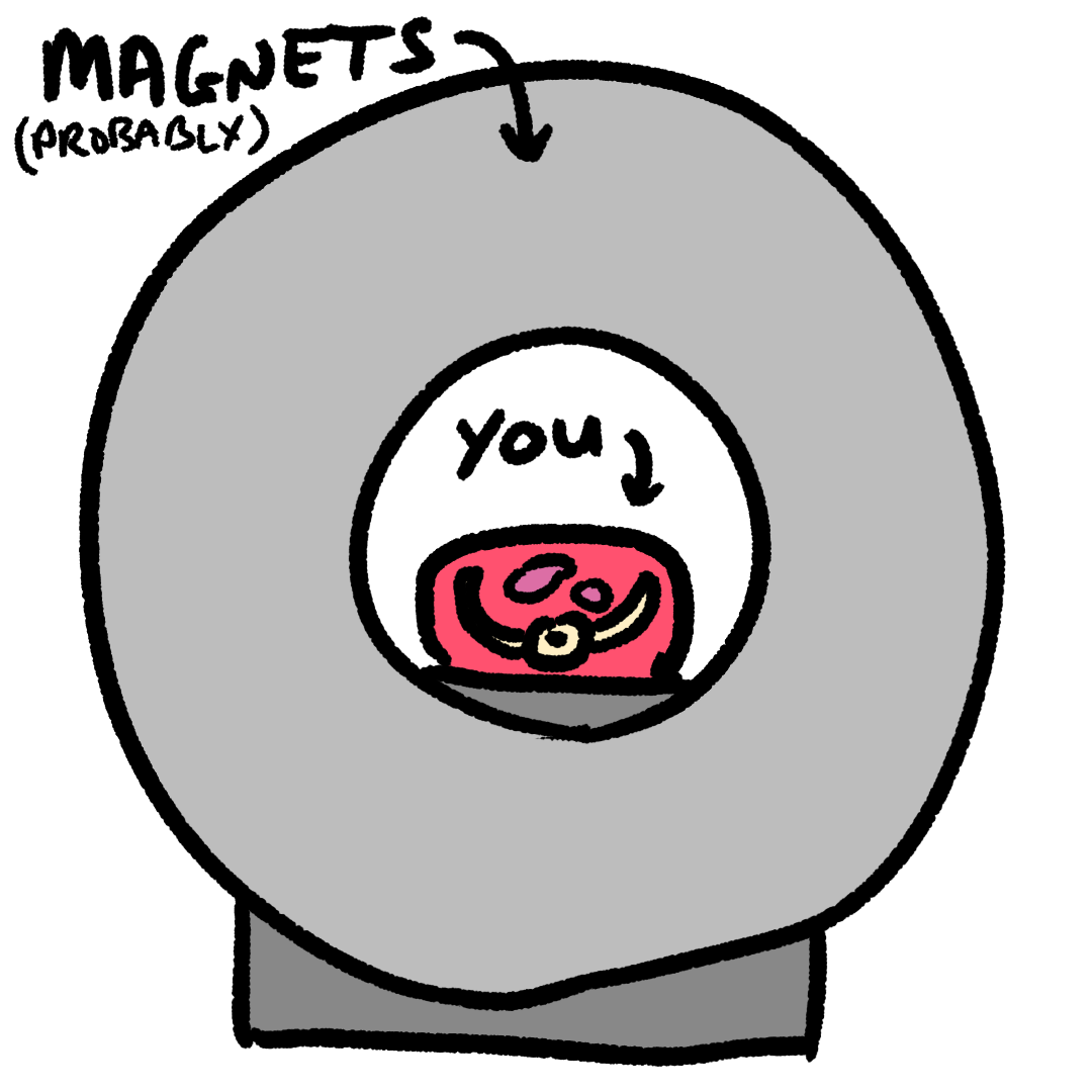 A comic drawing of a cross-section through a MRI machine with a patient inside. The only actual detail is in the patient, where some bones and nondescript organs are shown. The MRI machine, by contrast, is coloured solid grey. The person is labelled 'you' and the inside of the MRI machine has the label 'magnets, (probably)'.